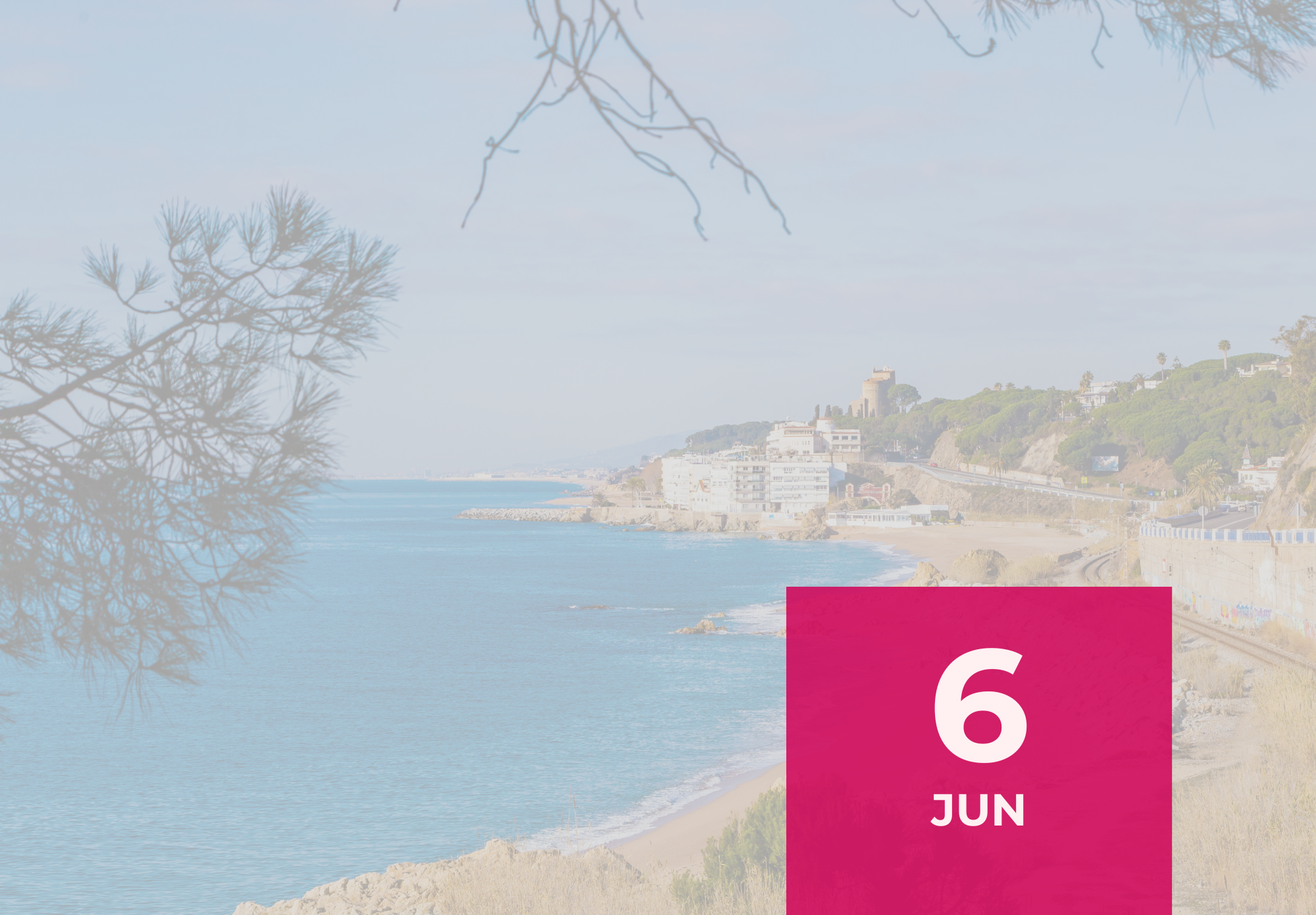 agenda web (2)
